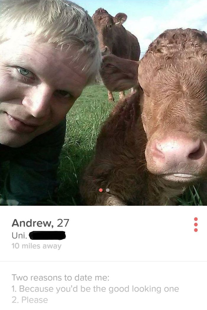 22 Funny Online Dating Profiles to Inspire You The TrulyThai Blog